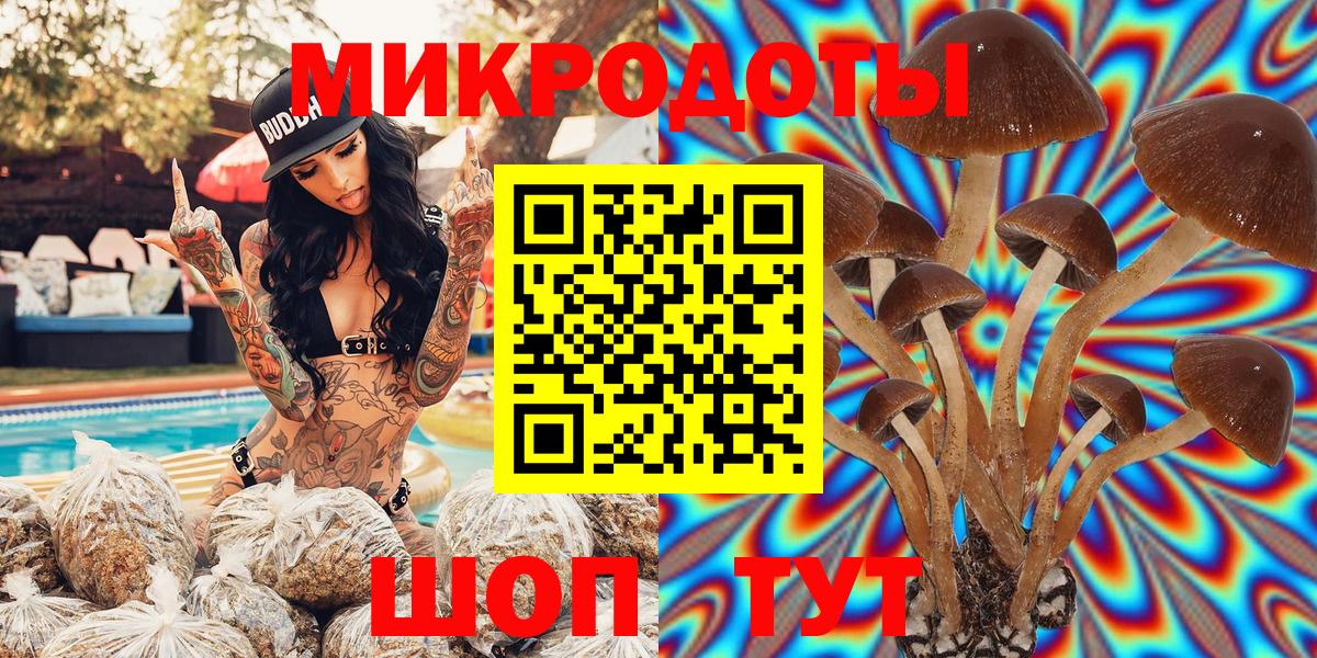 Знаменск  Галлюциногенные грибы GOLDEN TEACHER  купить закладку  Вход с VPN 
