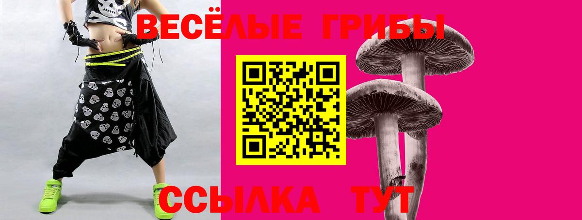 Псилоцибиновые грибы ЛСД Знаменск